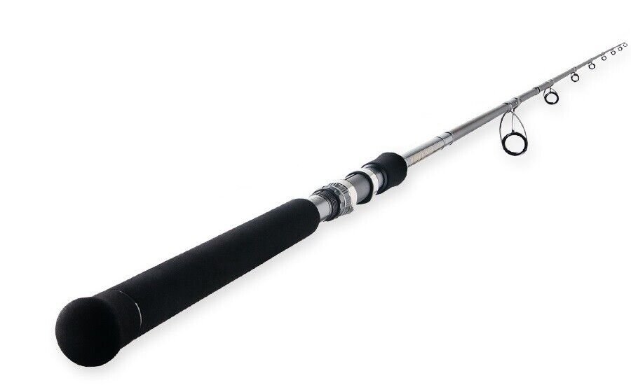 Best Spinning Rods for Beginners